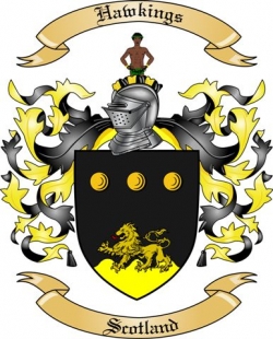 Hawkings Family Crest from Scotland