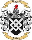 Hingerty Family Crest from Ireland