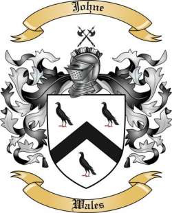 Johne Family Crest from Wales