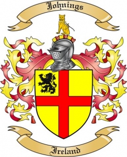 Johnings Family Crest from Ireland