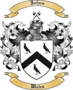 Johns Family Crest from Wales