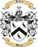 Johns Family Crest from Wales