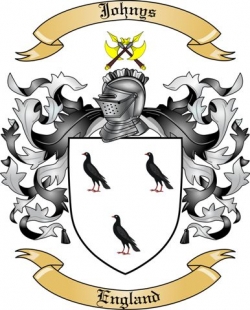 Johnys Family Crest from England2