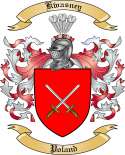 Kwasney Family Crest from Poland