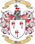 Lint Family Crest from Wales
