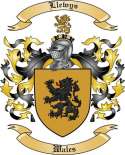 Llewys Family Crest from Wales2