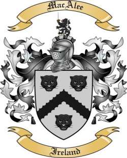 MacAlee Family Crest from Ireland