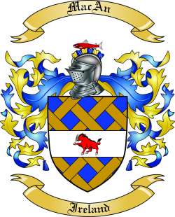 MacAn Family Crest from Ireland