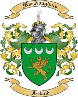 MacAonghuis Family Crest from Ireland