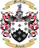 MacCaige Family Crest from Ireland