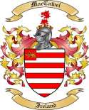 MacCawel Family Crest from Ireland