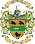 MacWhinney Family Crest from Ireland