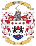 MacWing Family Crest from Ireland