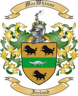 Mac Whinne Family Crest from Ireland