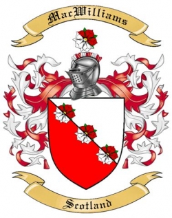 Mac Williams Family Crest from Scotland