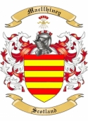 Macllhiney Family Crest from Scotland