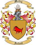 Mailey Family Crest from Ireland