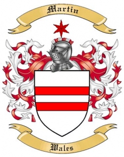 Martin Family Crest from Wales