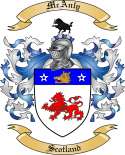 McAnly Family Crest from Scoland