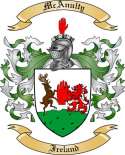 McAnulty Family Crest from Ireland
