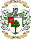 McEnchroe Family Crest from Ireland