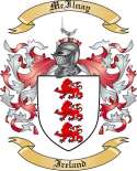 McIlnay Family Crest from Ireland