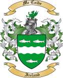Mc Caibe Family Crest from Ireland