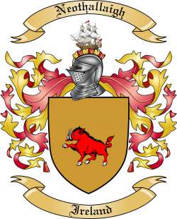 Neothallaigh Family Crest from Ireland