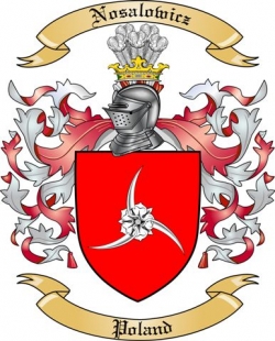 Nosalowicz Family Crest from Poland
