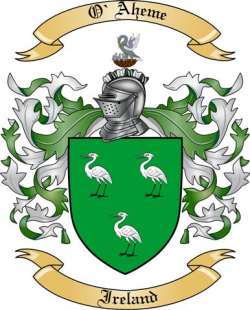 O'Aheme Family Crest from Ireland
