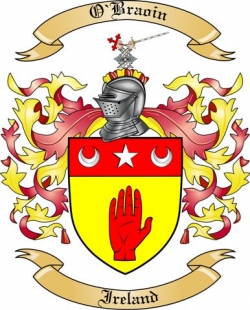 O'Braoin Family Crest from Ireland