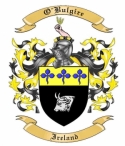 O'Bulgire Family Crest from Ireland