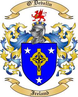 O'Develin Family Crest from Ireland