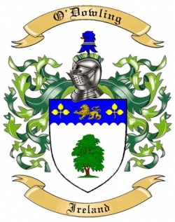 O'Dowling Family Crest from Ireland