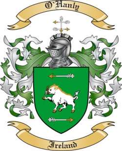 O'Hanly Family Crest from Ireland