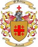 O'Hedian Family Crest from Ireland