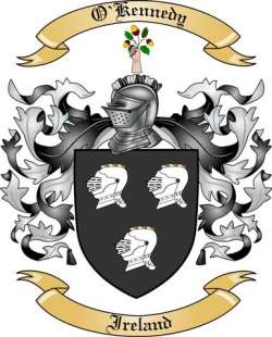 O'Kennedy Family Crest from Ireland