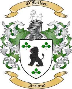 O'Killeen Family Crest from Ireland