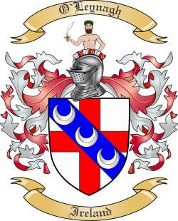 O'Leynagh Family Crest from Ireland