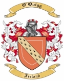 O'Quigg Family Crest from Ireland