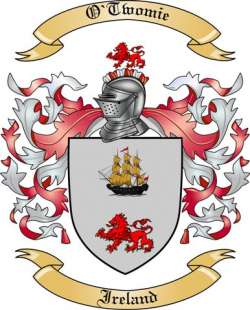 O'Twomie Family Crest from Ireland