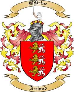 OBrine Family Crest from Ireland