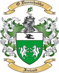 O Donnchadha Family Crest from Ireland