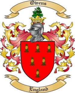 Owens Family Crest from England
