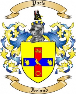 Pacie Family Crest from Ireland