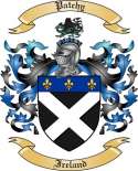 Patchy Family Crest from Ireland