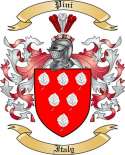 Pini Family Crest from Italy2