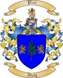 Pini Family Crest from Italy3