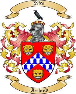 Rice Family Crest from Ireland
