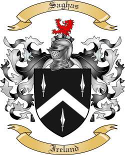 Saghas Family Crest from Ireland